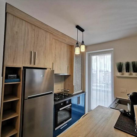 Modern Studio Coresi Residence 브라쇼브 외부 사진